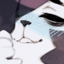 NanoDarkk's avatar
