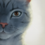 Ransom's avatar