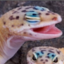 Happy's avatar