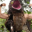 ZachDude's avatar