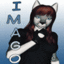 imago's avatar