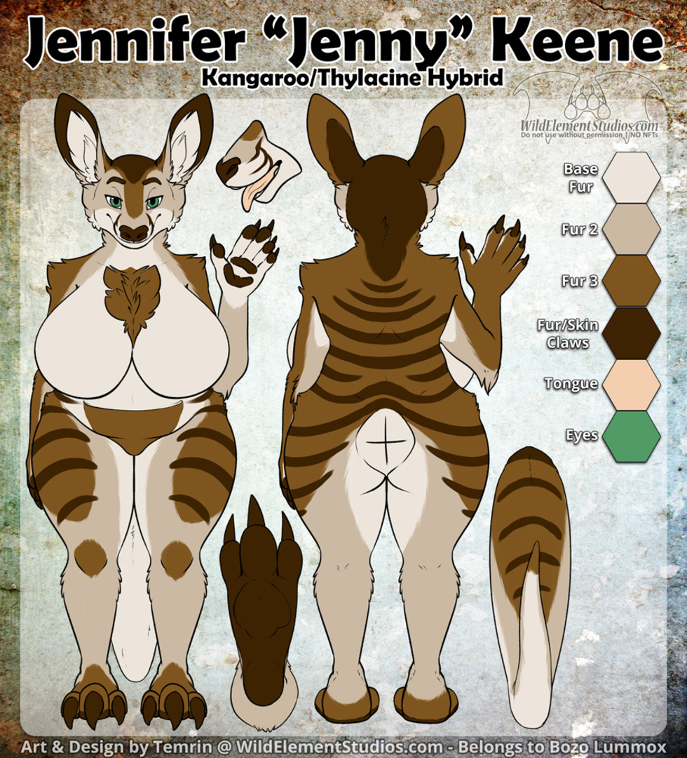 Jenny Ref Update Piczel Tv