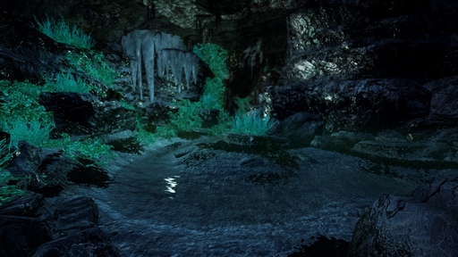Image 15